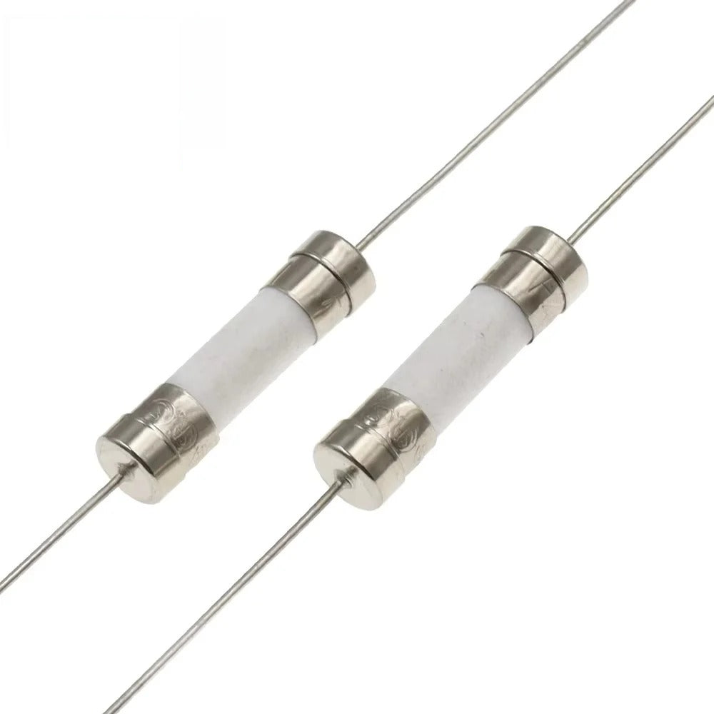 10PCS 5*20mm 6*30mm Ceramic Fuse With pin 1A 2A 3.15A 5A 6.3A 8A 10A 12A 15A 20A 25A 30A 250V Ceramic Fuse